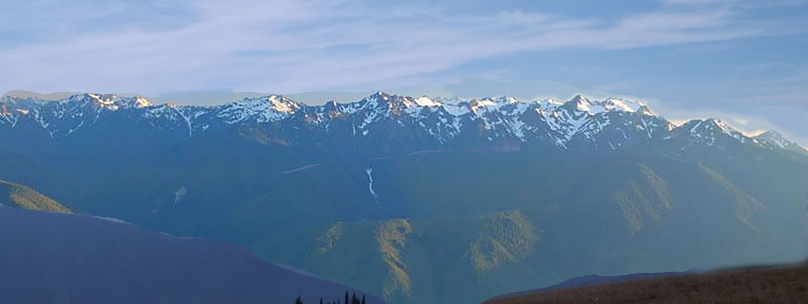 hurricane ridge olympic national park world heritage site