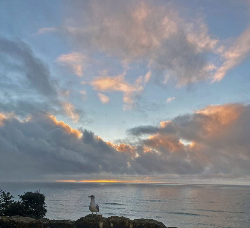 sunset pacific ocean washington